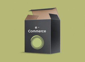 e-commerce seo