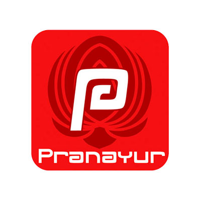 Pranayur, marque, suppléments alimentaires, logo design Jules Dorval